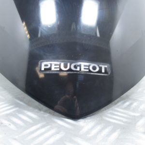 Bulle fumée noire (ref:1174623800) Peugeot Elyseo 50