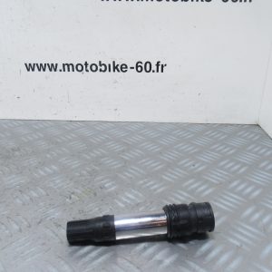 Bobine crayon BMW R1250RT 4t (8396492)