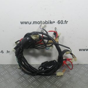 Faisceau electrique JM Motors Oldies 50 4t