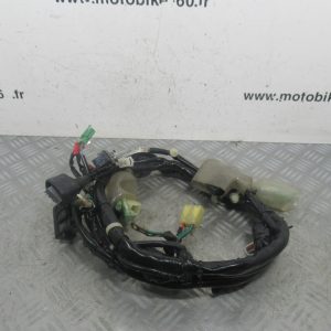 Faisceau electrique Honda PCX 125 4t (32100-KWN-7811)